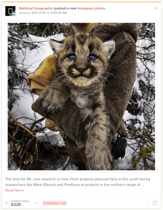 Mt. Lion, National Geographic's Instagram