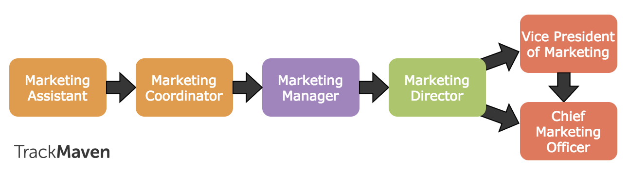 Marketing careers guide -- traditional marketing career path.